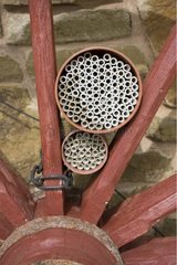 Insektenhaus aus hohlen Röhren unterschiedlicher Größen UK