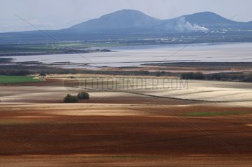 Felder und Teiche der Lacuna von Fuente Piedra in Spanien