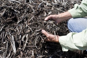 Hands in a coarse compost brush