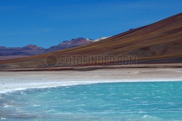 Laguna Blanca Altiplano Bolivien