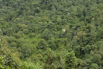 Cross of rainforest in cable Ecuador