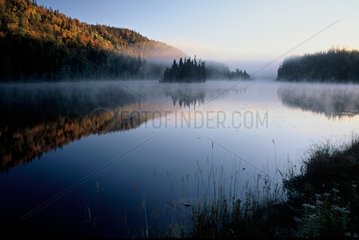 Morning fog on a lake of the Bouclier Canadien