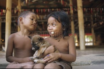 Welpe liegt auf den Knien zweier Kambodscha -Kinder