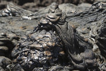 Obsidian concretion in a pahoehoe lava field Galapagos