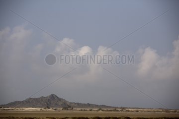 Landscape arid and desert terrain of the Sultanate of Oman