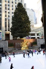 Christmas tree next to a skating rink New York