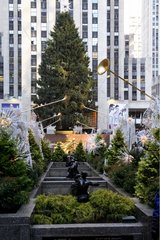 Christmas tree of Rockefeller center New York