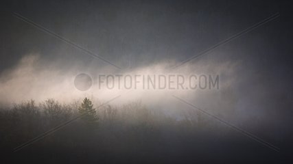 Morning fog in the Nesque Gorges in the Vaucluse France