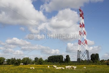 Pylons and power lines in France Heurteauville