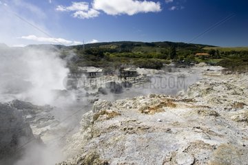 Hells Gate geothermal reserve Tikitere Rotorua New Zealand