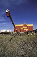 Wooden grain silo Eatonia City Saskatchewan Canada
