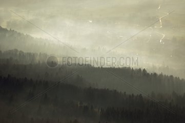 Mist over the forest down the mount Semnoz Haute-Savoie