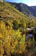 Les Gorges du Tarn Près de Hauterives Debut Novembre