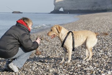 Labrador and its mistress playing on the beach of Etretat France
