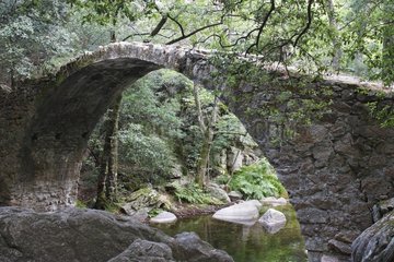 Brücke Zaglia von Genua in den Schluchten von Spelunca Korsika