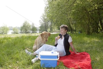 Picnic of Pregnant woman with her Labadror Retriever France
