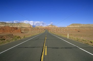Road in Arizona the United States [AT]
