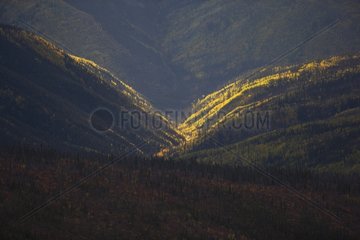 Herbstfarben auf den Hügeln Yukon Top of the World Highway