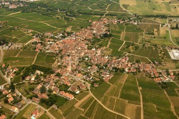 Luftaufnahme des Dorfes Mittelbergheim und des Weinbergs
