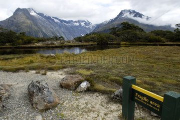 Alpine wetland area Fiordland NP New Zealand