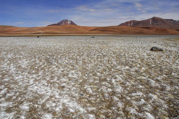 Laguna Lejia Road Paso de Guatiquina Atacama Chili