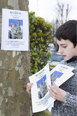 Boy hanging a poster to find his lost cat France