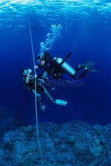 Diver and security Ouvea New Caledonia