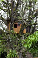 Ein Baumhaus auf der Insel San Cristobal