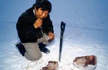 Chasseur eskimo mangeant du phoque cru Groenland