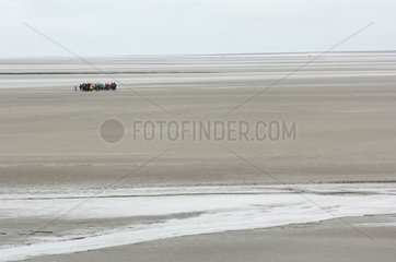 Tourists on a beach in winter France