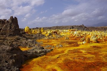 Concretions colored by sulfur Volcano Dallol Ethiopia