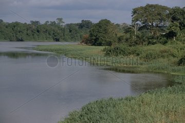 Ivindo river in the natural reserve of Winkebe Gabon