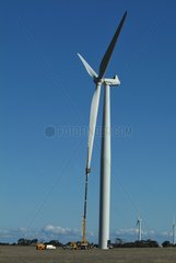 Maintenance of a wind turbine Australia York Peninsula