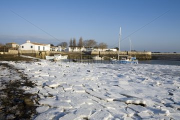 Foam frozen in the Port de Loix at low tide Ile de Ré