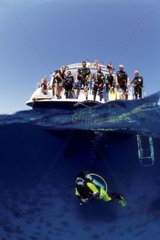 Diver and cruise boat Ocean II Egypt