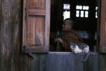 Katze legte sich auf ein Fenster eines Tempels und MÃ¶nch Burma