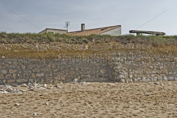 Consolidation of a cliff eroded by the sea Ile de Ré