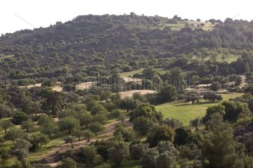 Landschaft des Troodos Mountains Zypern