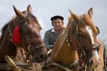 Farmer on a harness pulled by horses Romania