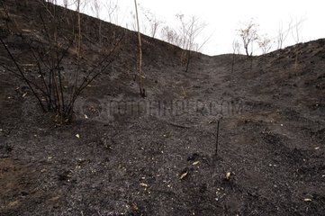 Die Erde brannte nach Fire Island von Viti Levu Fidschi