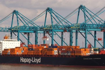 Porte-containerport et grues port d'Anvers Belgique