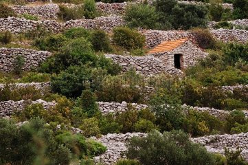 Verlassene landwirtschaftliche Terrassen Ile de Korçala Kroatien