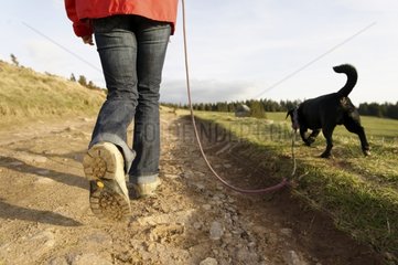 Girl walking her dog on a leash The Wettstein