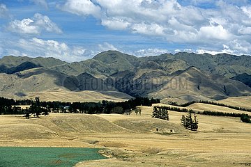 Landwirtschaftliche hügelige Landschaft der Südinsel Neuseeland