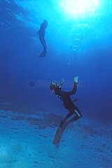 Training Diving apnea Yucatan in Mexico