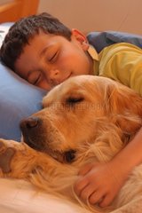 Golden retriever et enfant endormis dans un lit
