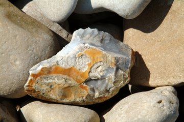 Flint Pebble von Wellen RÃ© Island Frankreich geknackt