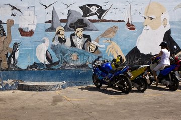 Wandbild mit Darwin auf Santa Cruz Island