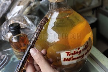 Dried Scolopendra and eggs of snake in a bottle Viêt Nam