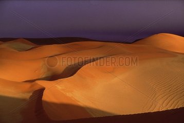 Lumière rasante sur les dunes de Sossusvlei Désert du Namib